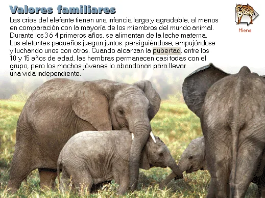 Valores familiares