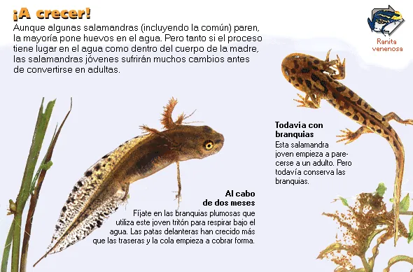 ¡A crecer!