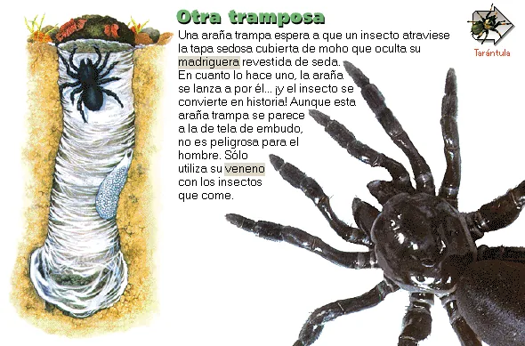 Otra tramposa