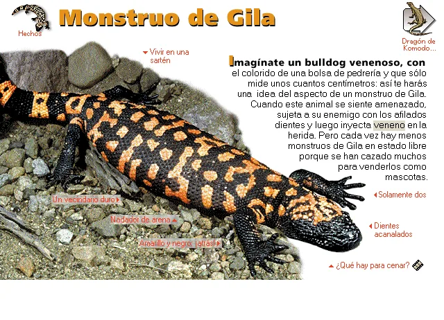 Monstruo de Gila