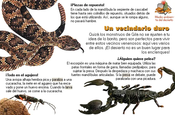Un vecindario duro