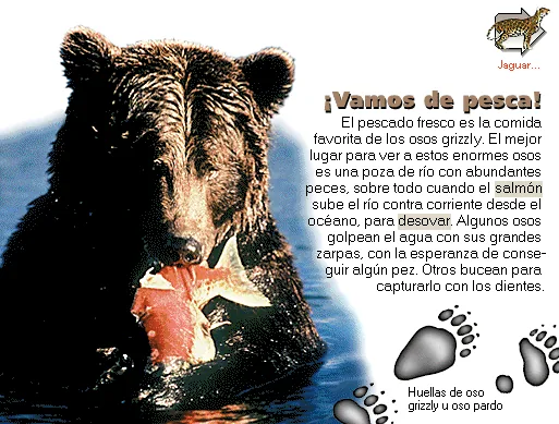 ¡Vamos de pesca!