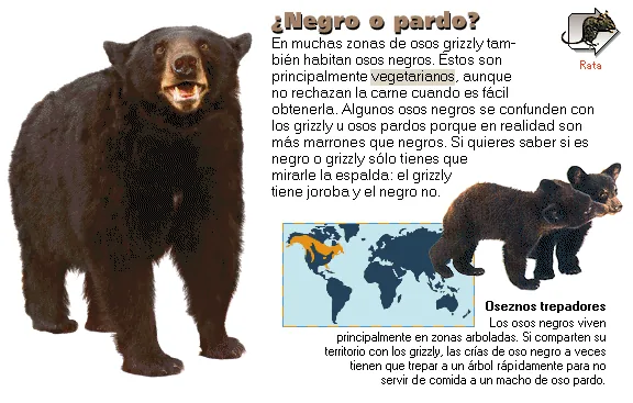 ¿Negro o pardo?