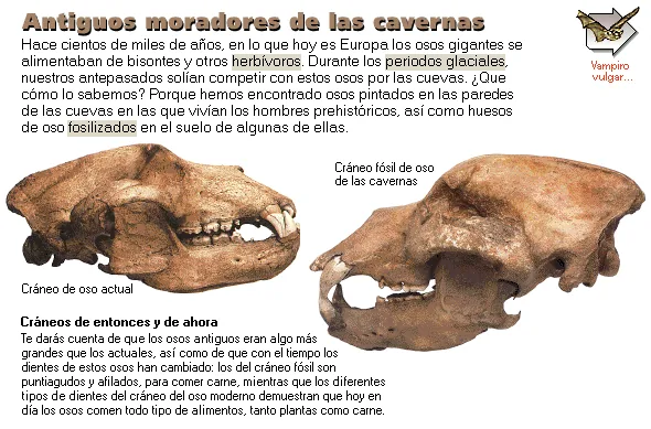 Antiguos moradores de las cavernas