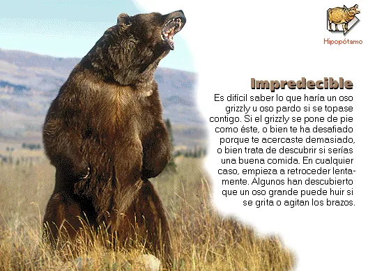 Impredecible