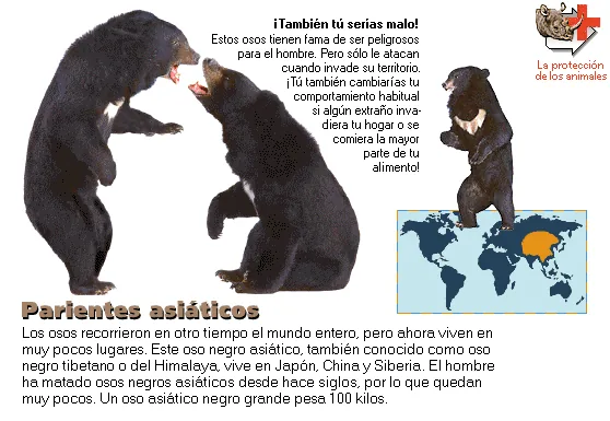 Parientes asiáticos