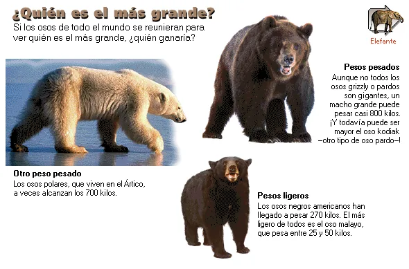 ¿Quién es el más grande?