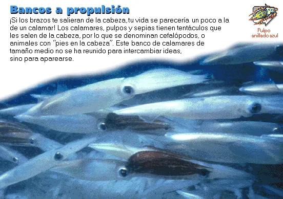 Bancos a propulsión