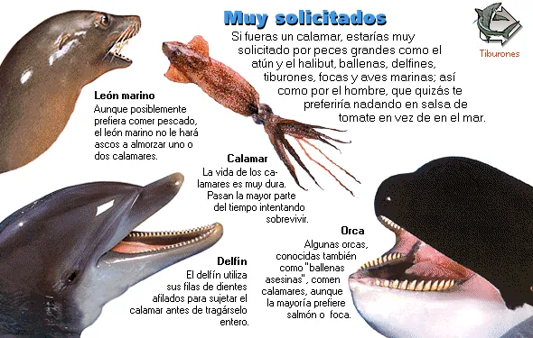 Muy solicitados