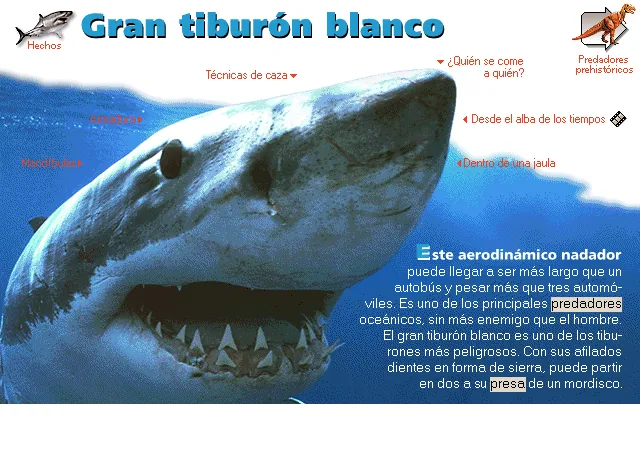 Gran tiburón blanco