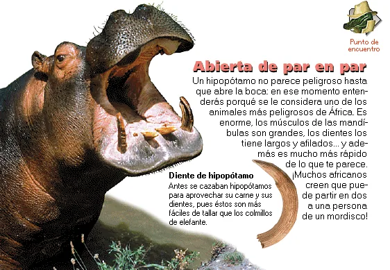 Abierta de par en par
