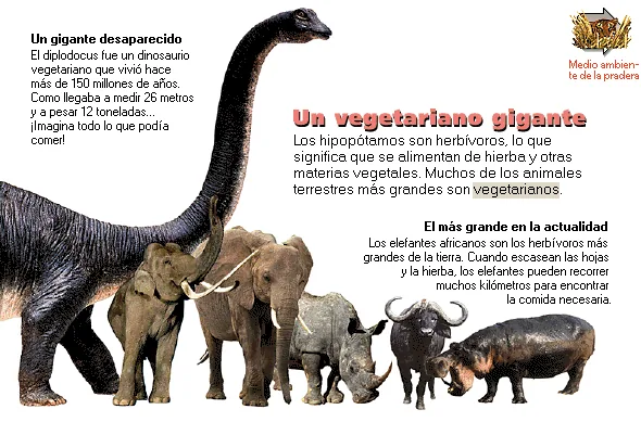Un vegetariano gigante