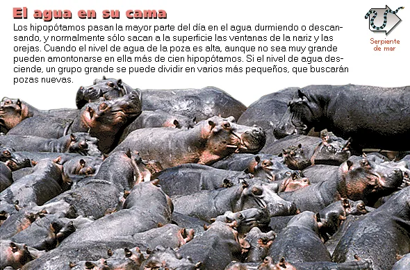 El agua en su cama