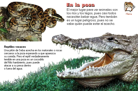En la poza