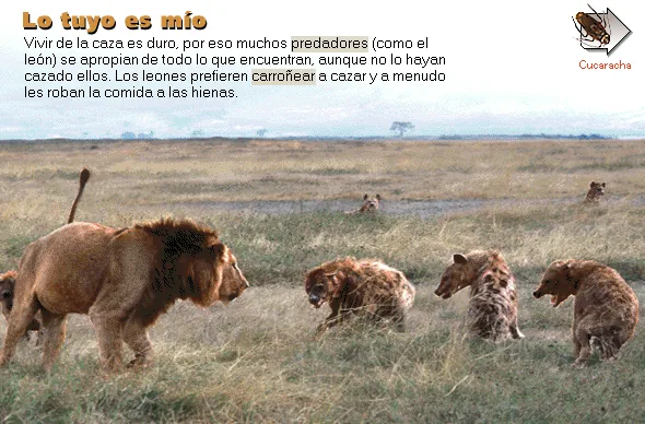 Lo tuyo es mío