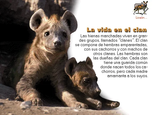 La vida en el clan