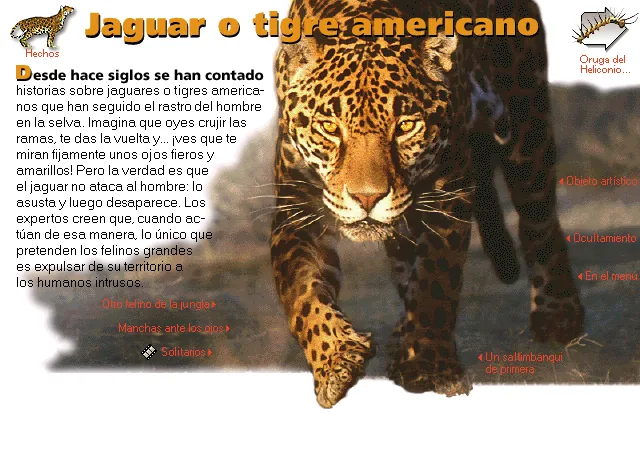Jaguar o tigre americano
