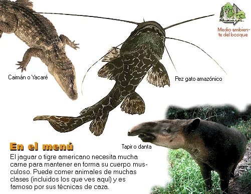 En el menú
