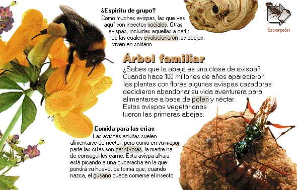 Árbol familiar
