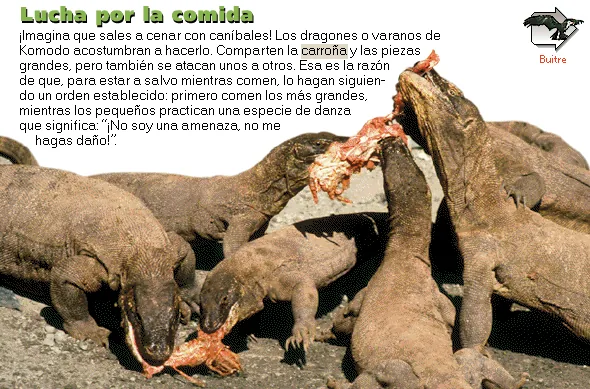 Lucha por la comida