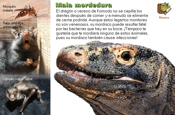 Mala mordedura
