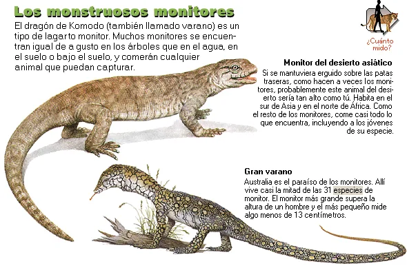 Los monstruosos monitores