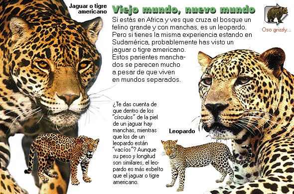 Viejo mundo, nuevo mundo