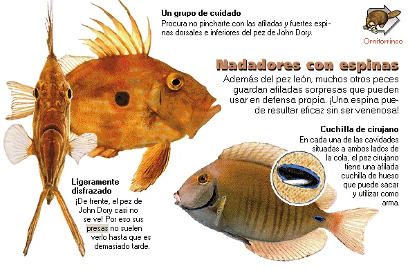 Nadadores con espinas