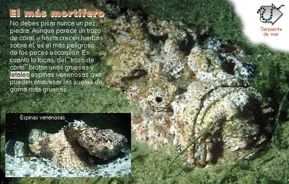 El más mortífero
