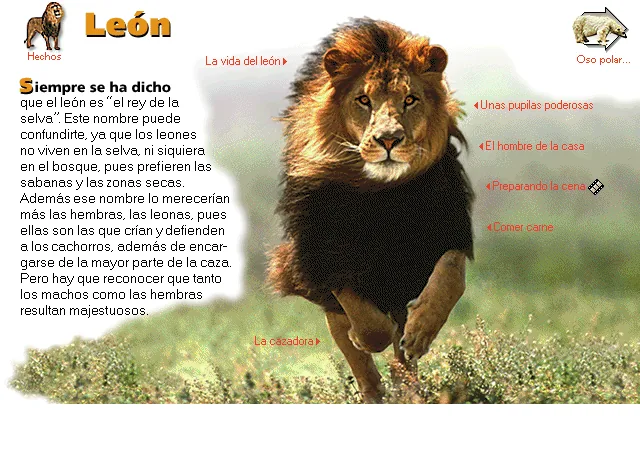 León