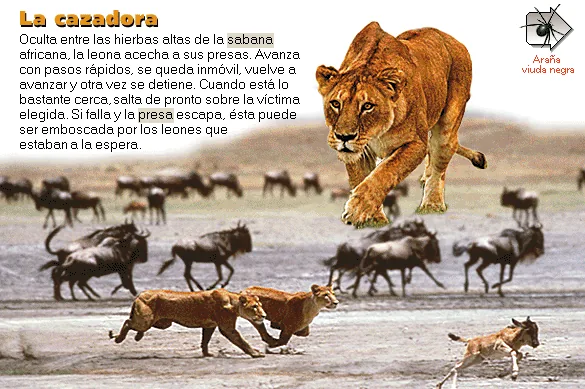 La cazadora