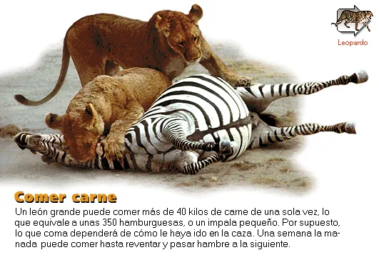 Comer carne