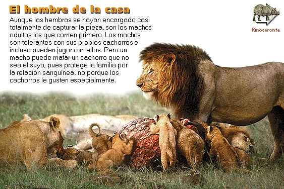 El hombre de la casa