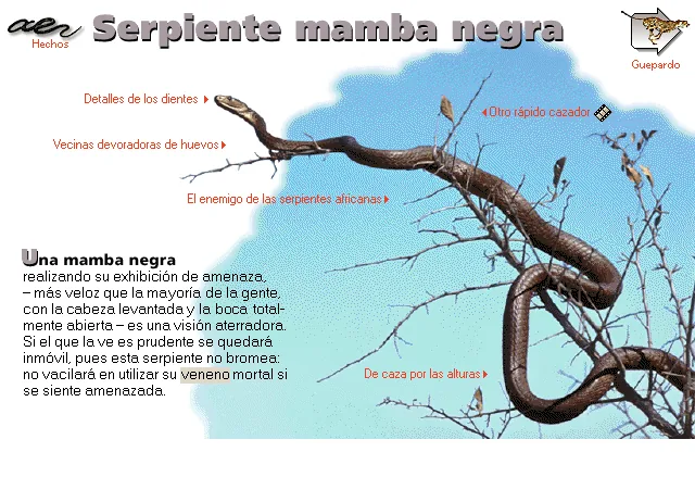 Serpiente mamba negra