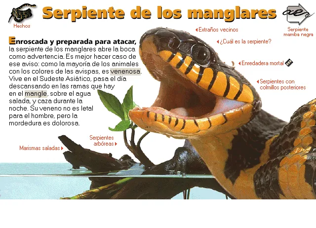 Serpiente de los manglares