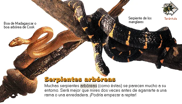 Serpientes arbóreas