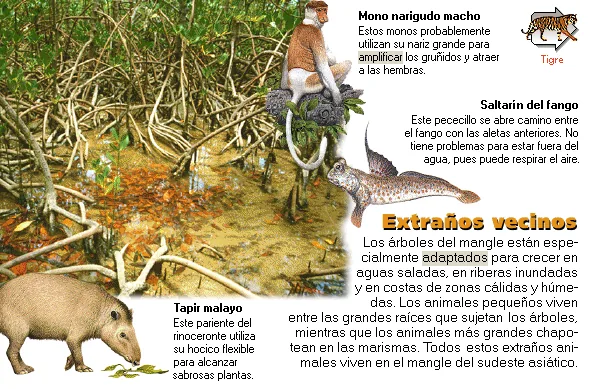 Extraños vecinos