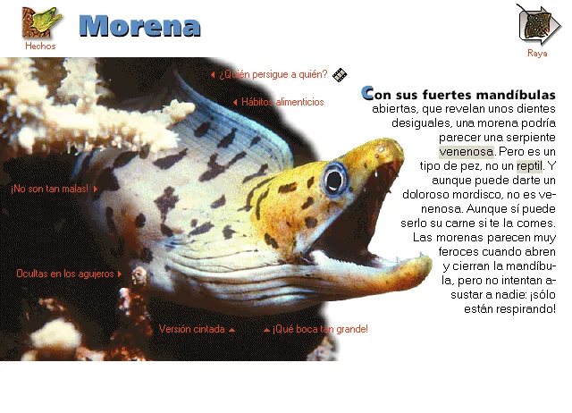 Morena