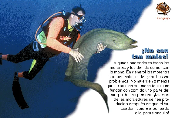 ¡No son tan malas!