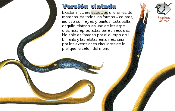 Versión cintada