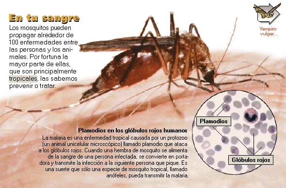 En tu sangre