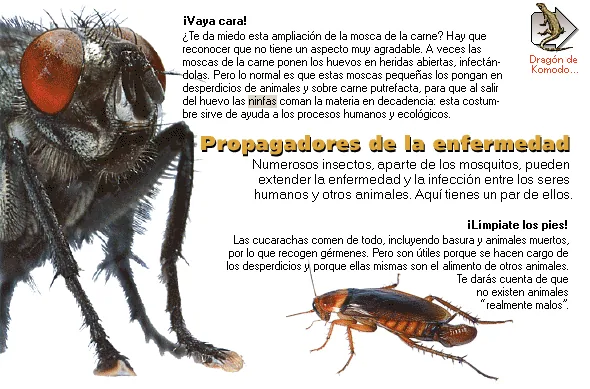 Propagadores de la enfermedad