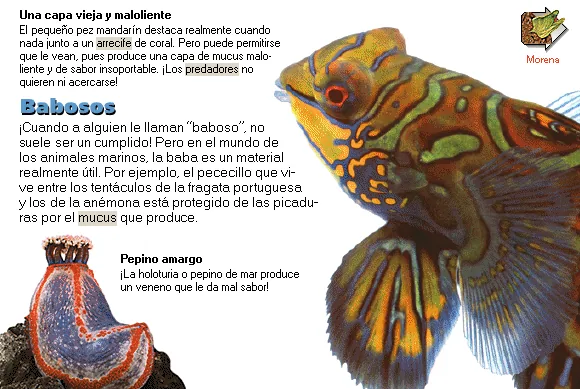Babosos