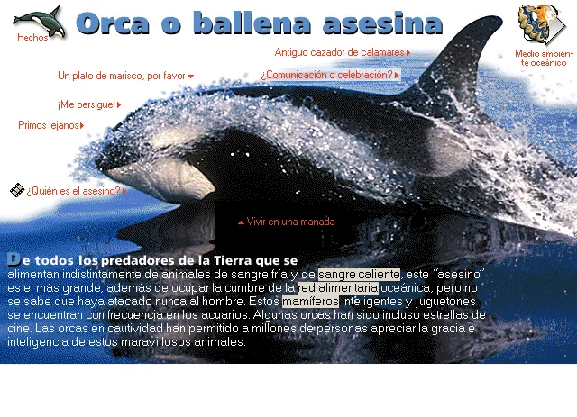 Orca o ballena asesina