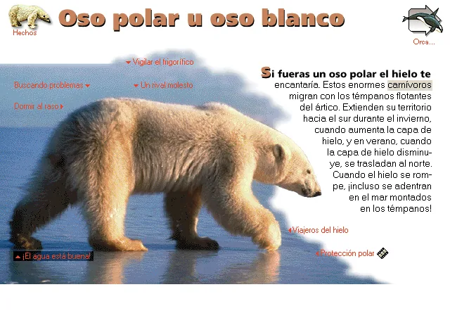 Oso polar u oso blanco