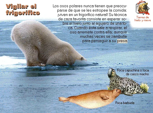 Vigilar el frigorífico