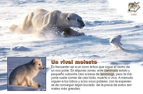 Un rival molesto