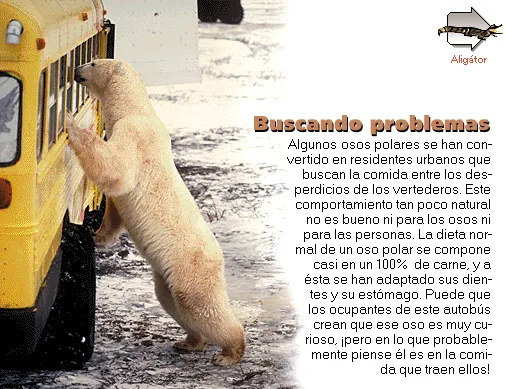 Buscando problemas
