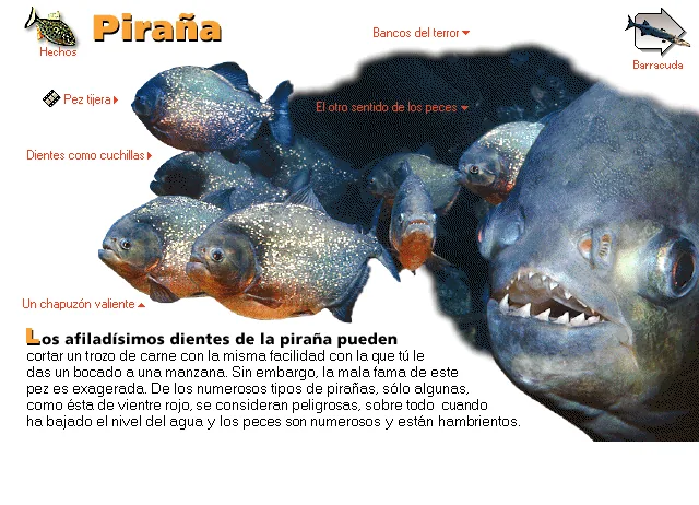 Piraña