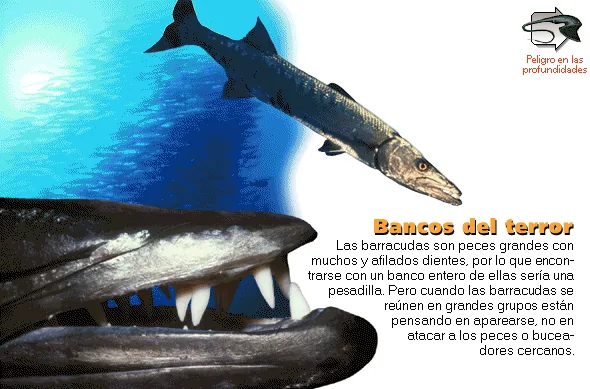 Bancos del terror